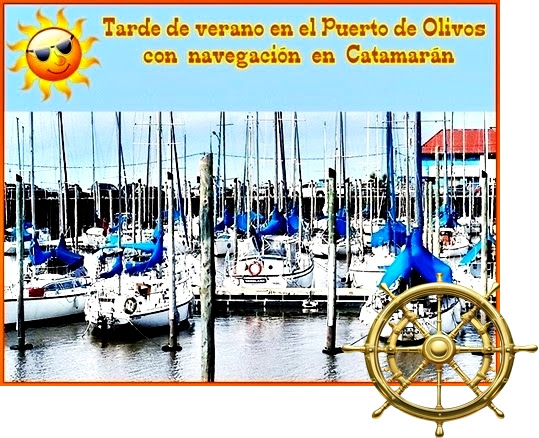 Nos vamos al Puerto de Olivos con paseo en Catamarán Domingo 26-01-2025 13.30hs – Av Pueyrredón y Santa Fe